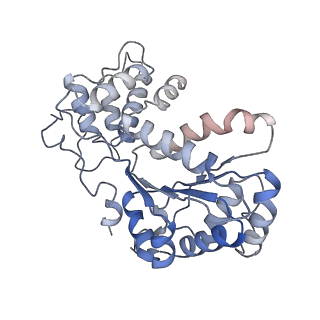 26476_7ufi_6_v1-2
VchTnsC AAA+ ATPase with DNA, single heptamer