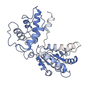 26476_7ufi_7_v1-2
VchTnsC AAA+ ATPase with DNA, single heptamer