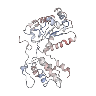 26477_7ufm_C_v1-2
VchTnsC AAA+ with DNA (double heptamer)
