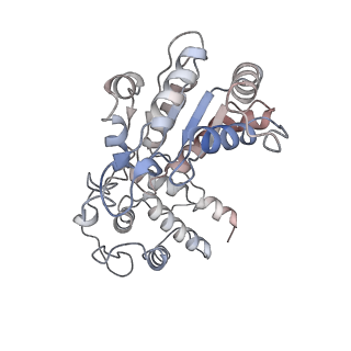 26477_7ufm_D_v1-2
VchTnsC AAA+ with DNA (double heptamer)