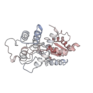 26477_7ufm_I_v1-2
VchTnsC AAA+ with DNA (double heptamer)