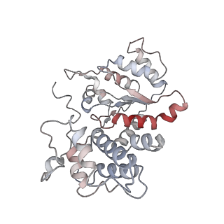 26477_7ufm_J_v1-2
VchTnsC AAA+ with DNA (double heptamer)