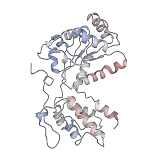 26477_7ufm_K_v1-2
VchTnsC AAA+ with DNA (double heptamer)
