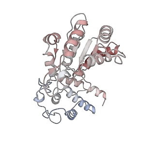 26477_7ufm_L_v1-2
VchTnsC AAA+ with DNA (double heptamer)