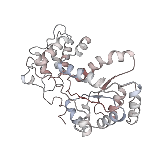 26477_7ufm_N_v1-2
VchTnsC AAA+ with DNA (double heptamer)