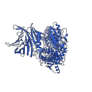 26478_7ufr_A_v1-0
Cryo-EM Structure of Bl_Man38A at 2.7 A