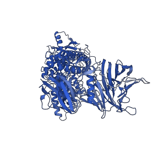 26481_7ufu_B_v1-0
Cryo-EM Structure of Bl_Man38A nucleophile mutant in complex with mannose at 2.7 A