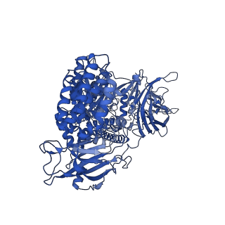 26481_7ufu_C_v1-0
Cryo-EM Structure of Bl_Man38A nucleophile mutant in complex with mannose at 2.7 A