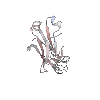 42185_8uf7_A_v1-1
Cryo-EM structure of POmAb, a Type-I anti-prothrombin antiphospholipid antibody, bound to kringle-1 of human prothrombin
