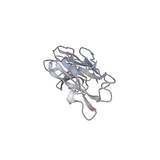 42185_8uf7_B_v1-1
Cryo-EM structure of POmAb, a Type-I anti-prothrombin antiphospholipid antibody, bound to kringle-1 of human prothrombin