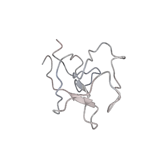 42185_8uf7_C_v1-1
Cryo-EM structure of POmAb, a Type-I anti-prothrombin antiphospholipid antibody, bound to kringle-1 of human prothrombin