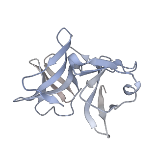 42192_8ufc_I_v1-1
Eastern equine encephalitis virus (PE-6) VLP in complex with VLDLR LA(1-2) (asymmetric unit)
