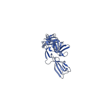 42192_8ufc_K_v1-1
Eastern equine encephalitis virus (PE-6) VLP in complex with VLDLR LA(1-2) (asymmetric unit)