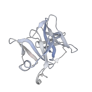 42192_8ufc_L_v1-1
Eastern equine encephalitis virus (PE-6) VLP in complex with VLDLR LA(1-2) (asymmetric unit)