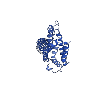 42207_8ufh_F_v1-2
Acinetobacter baylyi LptB2FG bound to Acinetobacter baylyi lipopolysaccharide and a macrocyclic peptide