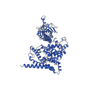 42208_8ufi_A_v1-1
Cryo-EM structure of bovine phosphodiesterase 6