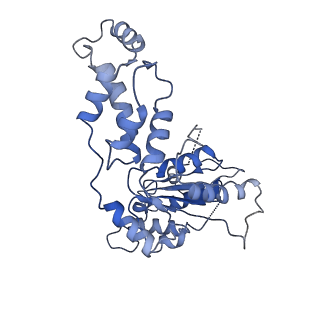 20761_6ugd_A_v1-4
Katanin hexamer in the spiral conformation in complex with substrate