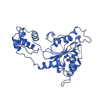 20761_6ugd_B_v1-4
Katanin hexamer in the spiral conformation in complex with substrate