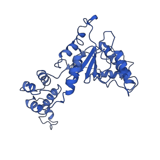 20761_6ugd_C_v1-3
Katanin hexamer in the spiral conformation in complex with substrate