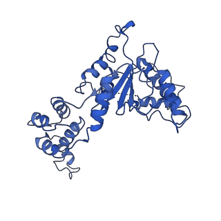 20761_6ugd_C_v1-4
Katanin hexamer in the spiral conformation in complex with substrate