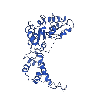 20761_6ugd_D_v1-4
Katanin hexamer in the spiral conformation in complex with substrate