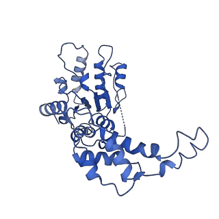 20761_6ugd_E_v1-4
Katanin hexamer in the spiral conformation in complex with substrate