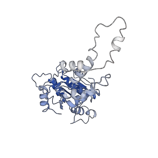 20761_6ugd_F_v1-4
Katanin hexamer in the spiral conformation in complex with substrate