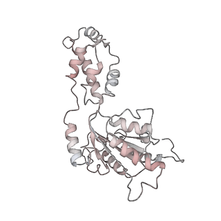 20762_6uge_A_v1-3
Katanin hexamer in the ring conformation in complex with substrate