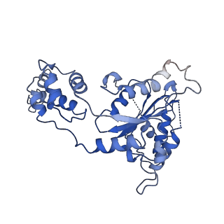 20762_6uge_B_v1-3
Katanin hexamer in the ring conformation in complex with substrate