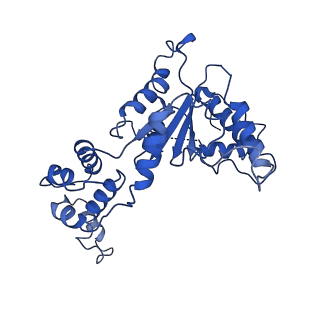 20762_6uge_C_v1-3
Katanin hexamer in the ring conformation in complex with substrate