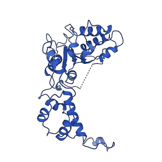 20762_6uge_D_v1-3
Katanin hexamer in the ring conformation in complex with substrate