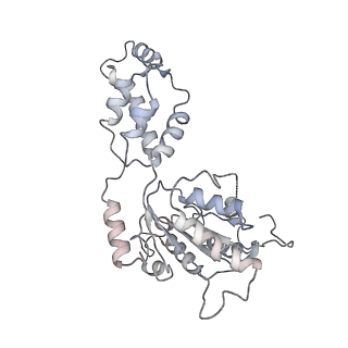 20763_6ugf_A_v1-4
Katanin hexamer in the ring conformation with resolved protomer one in complex with substrate