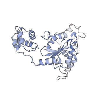20763_6ugf_B_v1-3
Katanin hexamer in the ring conformation with resolved protomer one in complex with substrate