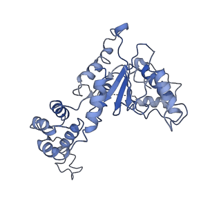 20763_6ugf_C_v1-3
Katanin hexamer in the ring conformation with resolved protomer one in complex with substrate