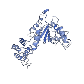 20763_6ugf_C_v1-4
Katanin hexamer in the ring conformation with resolved protomer one in complex with substrate