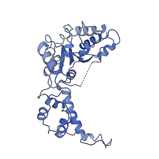 20763_6ugf_D_v1-4
Katanin hexamer in the ring conformation with resolved protomer one in complex with substrate