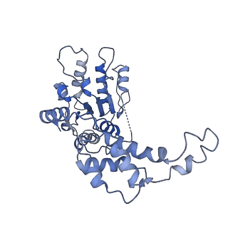 20763_6ugf_E_v1-4
Katanin hexamer in the ring conformation with resolved protomer one in complex with substrate