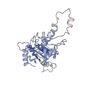 20763_6ugf_F_v1-3
Katanin hexamer in the ring conformation with resolved protomer one in complex with substrate