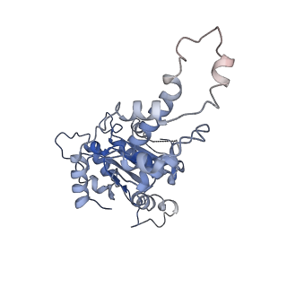 20763_6ugf_F_v1-4
Katanin hexamer in the ring conformation with resolved protomer one in complex with substrate