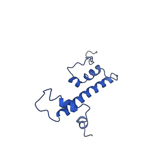 20765_6ugm_G_v1-3
Structural basis of COMPASS eCM recognition of an unmodified nucleosome