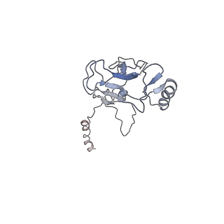 20765_6ugm_M_v1-3
Structural basis of COMPASS eCM recognition of an unmodified nucleosome