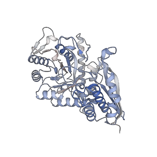 26406_7ugu_A_v1-1
Structure of enolase from streptococcus pyogenes