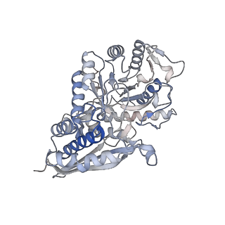 26406_7ugu_C_v1-1
Structure of enolase from streptococcus pyogenes