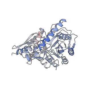 26406_7ugu_D_v1-1
Structure of enolase from streptococcus pyogenes