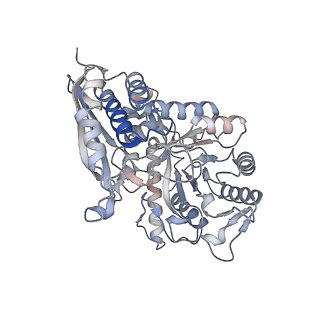 26406_7ugu_E_v1-1
Structure of enolase from streptococcus pyogenes