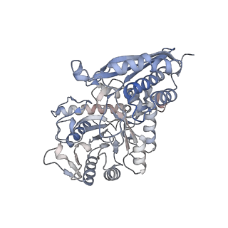 26406_7ugu_G_v1-1
Structure of enolase from streptococcus pyogenes