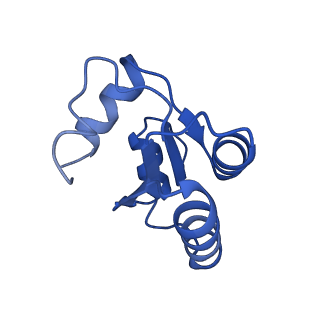 26485_7ug6_7_v1-2
Cryo-EM structure of pre-60S ribosomal subunit, unmethylated G2922