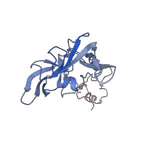 26485_7ug6_A_v1-2
Cryo-EM structure of pre-60S ribosomal subunit, unmethylated G2922