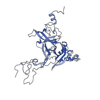 26485_7ug6_B_v1-2
Cryo-EM structure of pre-60S ribosomal subunit, unmethylated G2922