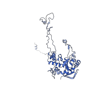 26485_7ug6_C_v1-2
Cryo-EM structure of pre-60S ribosomal subunit, unmethylated G2922